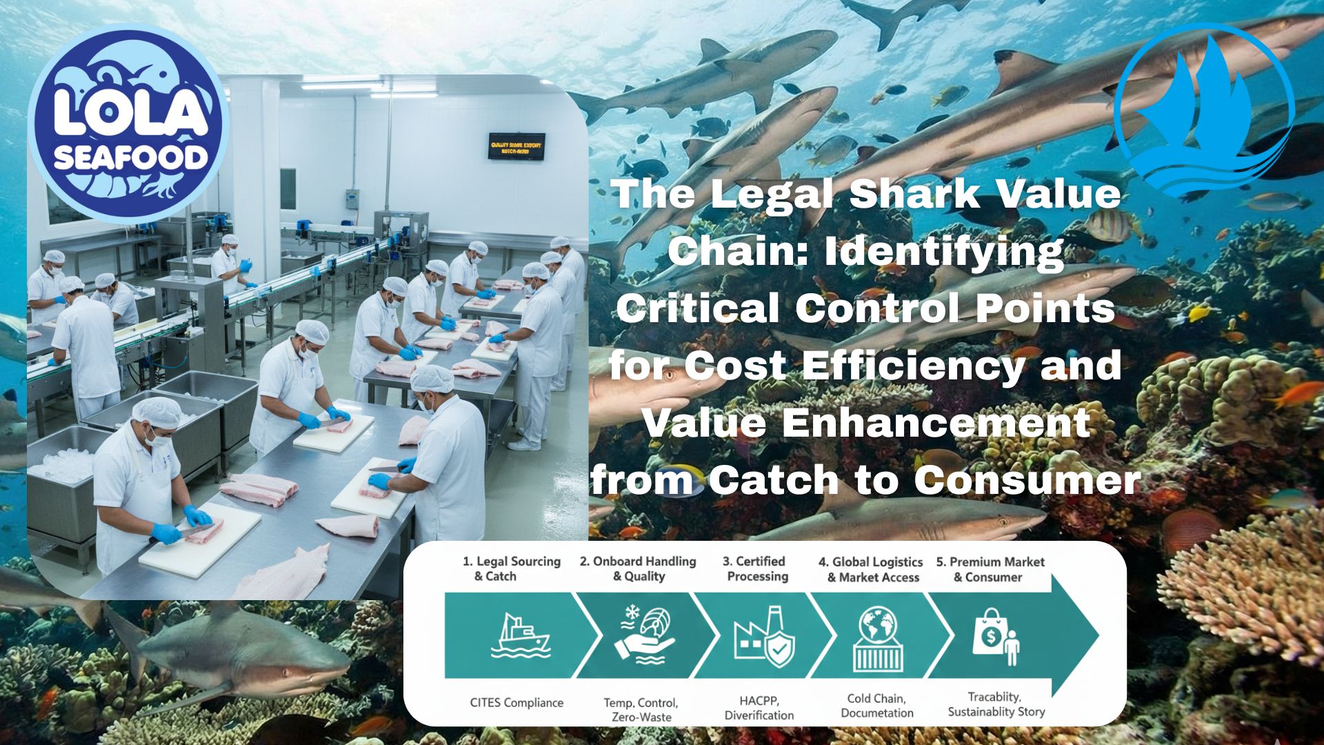 The Legal Shark Value Chain: Identifying Critical Control Points for Cost Efficiency and Value Enhancement from Catch to Consumer
